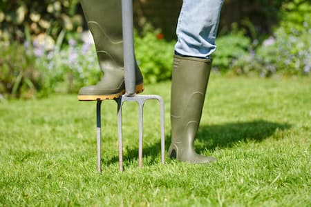 Aeration Aftercare: Exactly What to Do in the 7 Days After Core Aeration”
