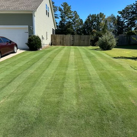 Lawn Renovation vs. Routine Lawn Treatment: How to Decide What Your Yard Really Needs