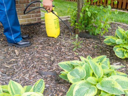 Pre-Emergent vs. Post-Emergent: Which Weed Control Do Upstate SC Lawns Need?