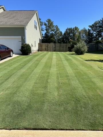 Top Tier Weed Control in Inman, SC